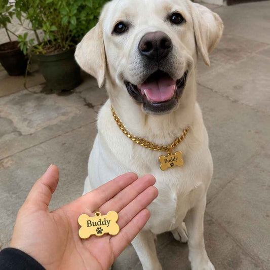 Paws of Love™